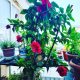IMG_20220308_090405_302 80x80