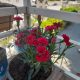 IMG_20220902_170845_857 80x80