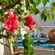IMG_20240405_092906_500 80x80